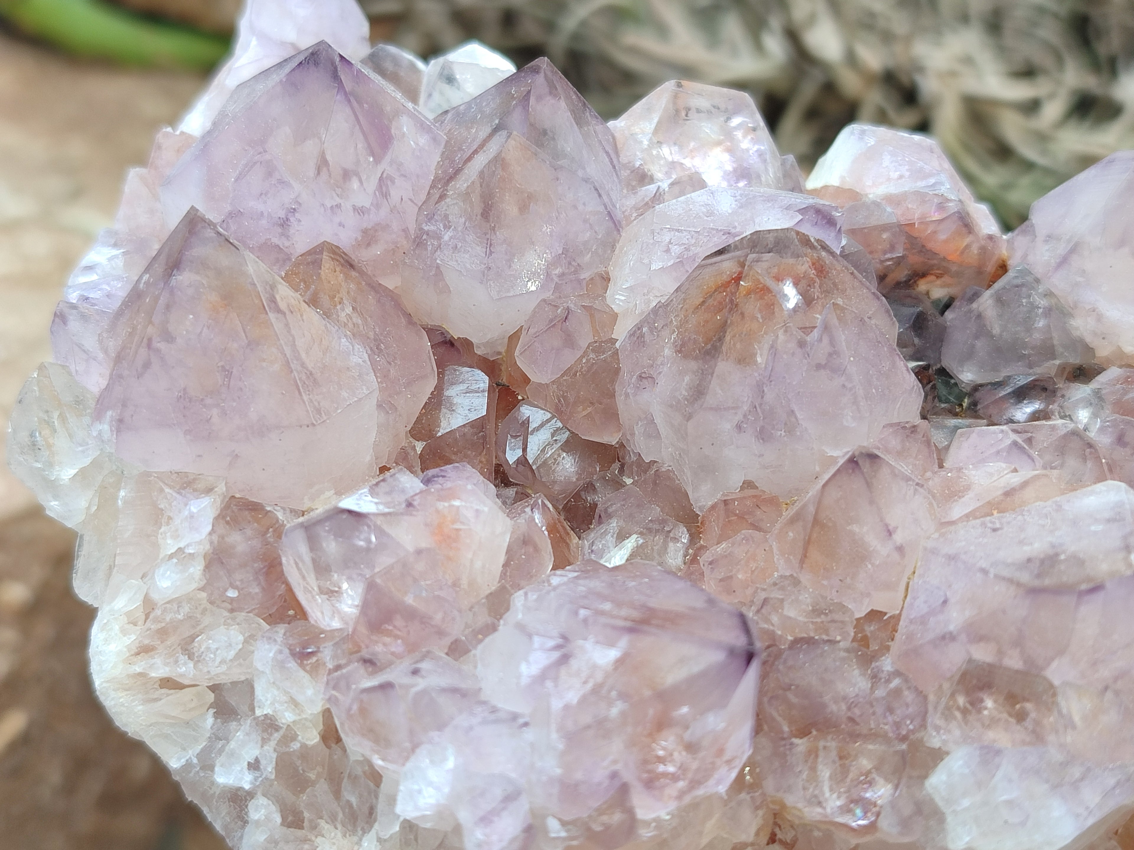 Natural Dark Ametrine Cactus Spirit Quartz Clusters x 2 From South Africa - Toprock Gemstones and Minerals 