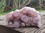 Natural Dark Ametrine Cactus Spirit Quartz Clusters x 2 From South Africa - Toprock Gemstones and Minerals 
