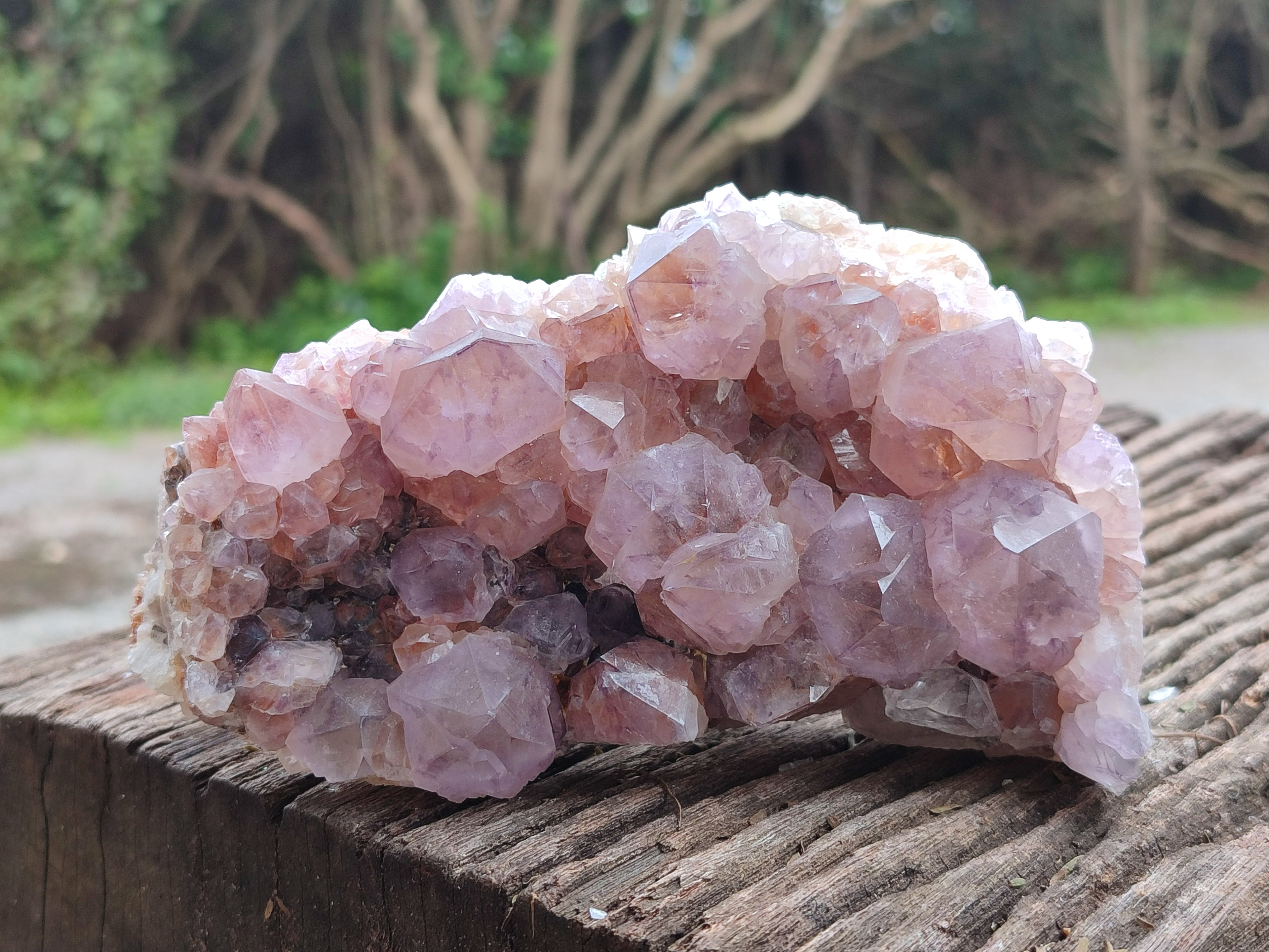 Natural Dark Ametrine Cactus Spirit Quartz Clusters x 2 From South Africa - Toprock Gemstones and Minerals 