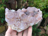 Natural Dark Ametrine Cactus Spirit Quartz Clusters x 2 From South Africa - Toprock Gemstones and Minerals 