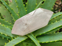 Polished Double Terminated Rose Quartz Points x 6 From Ambatondrazaka, Madagascar