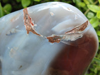 Polished Sashe River Agate Standing Free Form x 1 From Zimbabwe