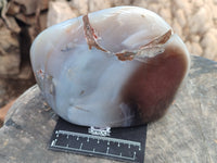 Polished Sashe River Agate Standing Free Form x 1 From Zimbabwe