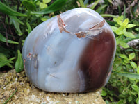 Polished Sashe River Agate Standing Free Form x 1 From Zimbabwe