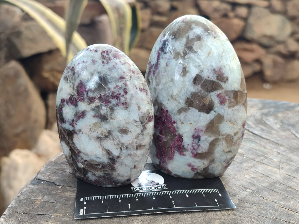 Polished Rubellite Pink Tourmaline Standing Free Forms x 4 From Madagascar - Toprock Gemstones and Minerals 