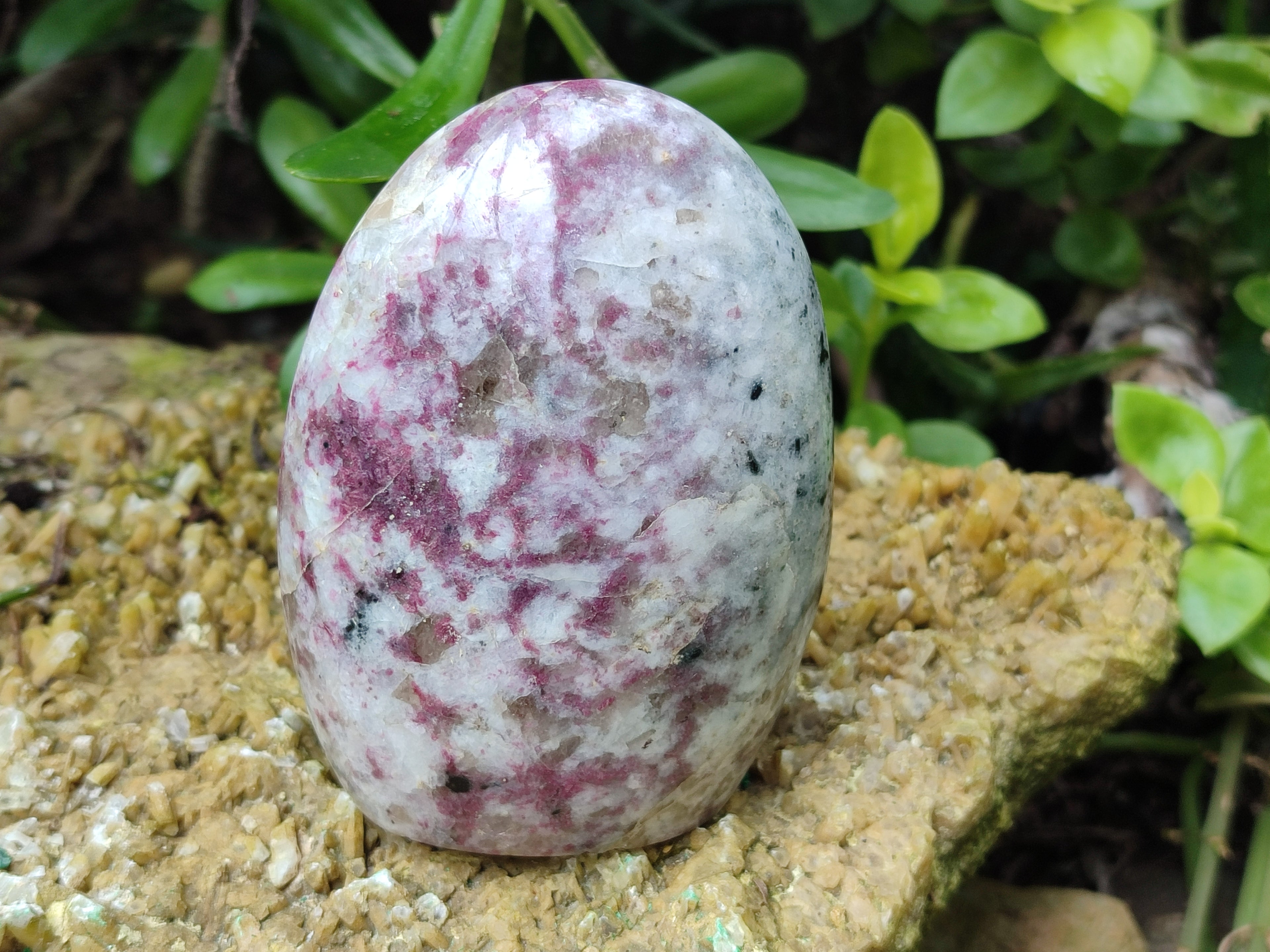 Polished Rubellite Pink Tourmaline Standing Free Forms x 4 From Madagascar - Toprock Gemstones and Minerals 