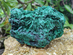 Natural Silky Malachite Specimens x 4 From Kasompe, Congo - Toprock Gemstones and Minerals 