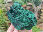 Natural Silky Malachite Specimens x 4 From Kasompe, Congo - Toprock Gemstones and Minerals 