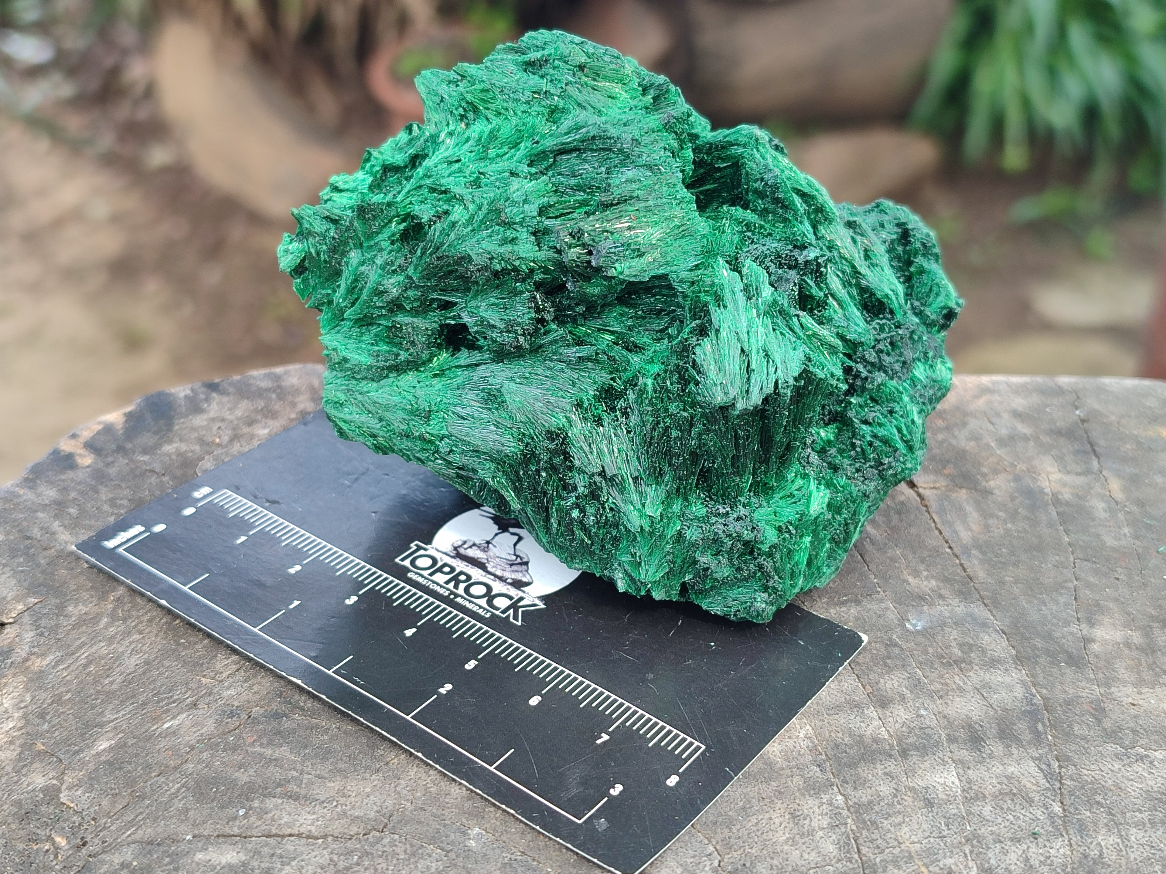Natural Silky Malachite Specimens x 4 From Kasompe, Congo - Toprock Gemstones and Minerals 