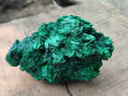 Natural Silky Malachite Specimens x 4 From Kasompe, Congo - Toprock Gemstones and Minerals 