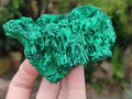 Natural Silky Malachite Specimens x 4 From Kasompe, Congo - Toprock Gemstones and Minerals 