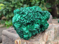 Natural Silky Malachite Specimens x 4 From Kasompe, Congo - Toprock Gemstones and Minerals 