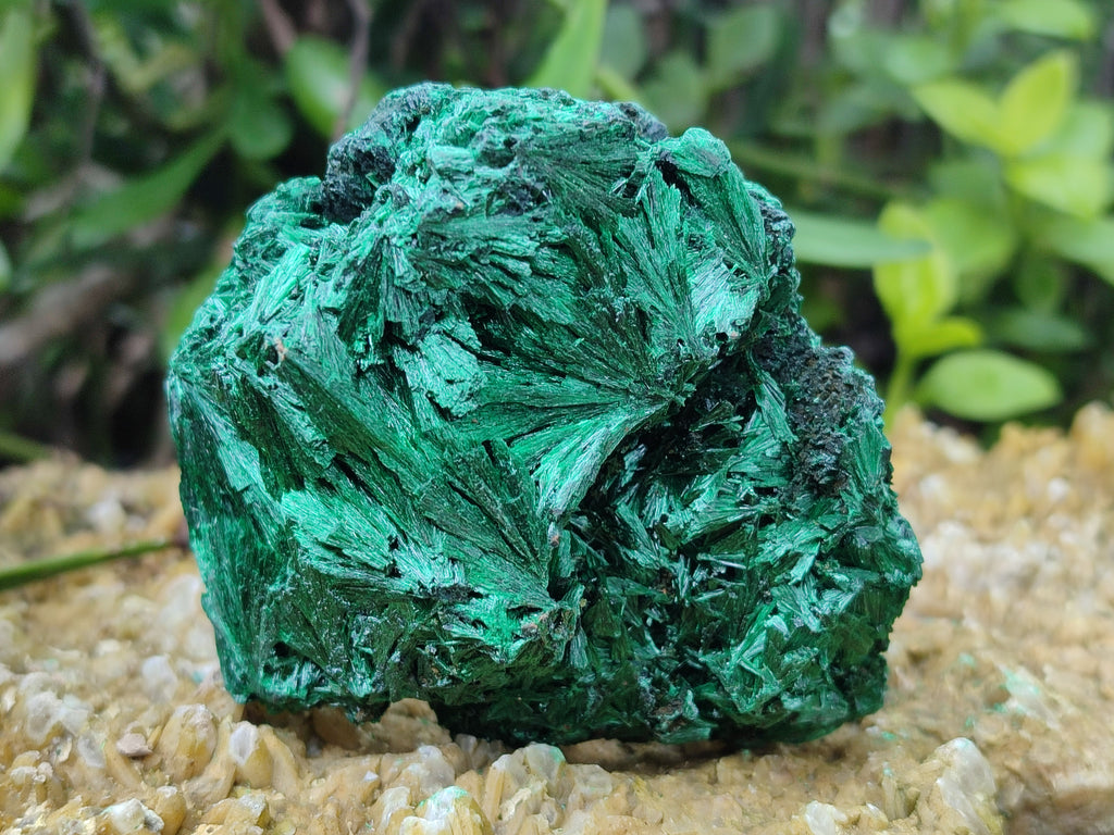 Natural Silky Malachite Specimens x 4 From Kasompe, Congo - Toprock Gemstones and Minerals 