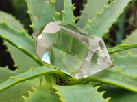 Polished Smokey Quartz Crystals x 24 From Madagascar