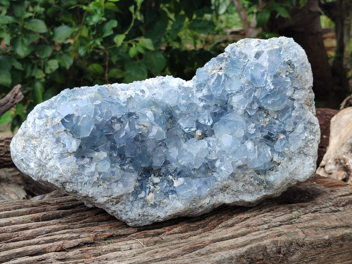 Natural Large Celestite Geode Specimen x 1 From Sakoany, Madagascar - Toprock Gemstones and Minerals 