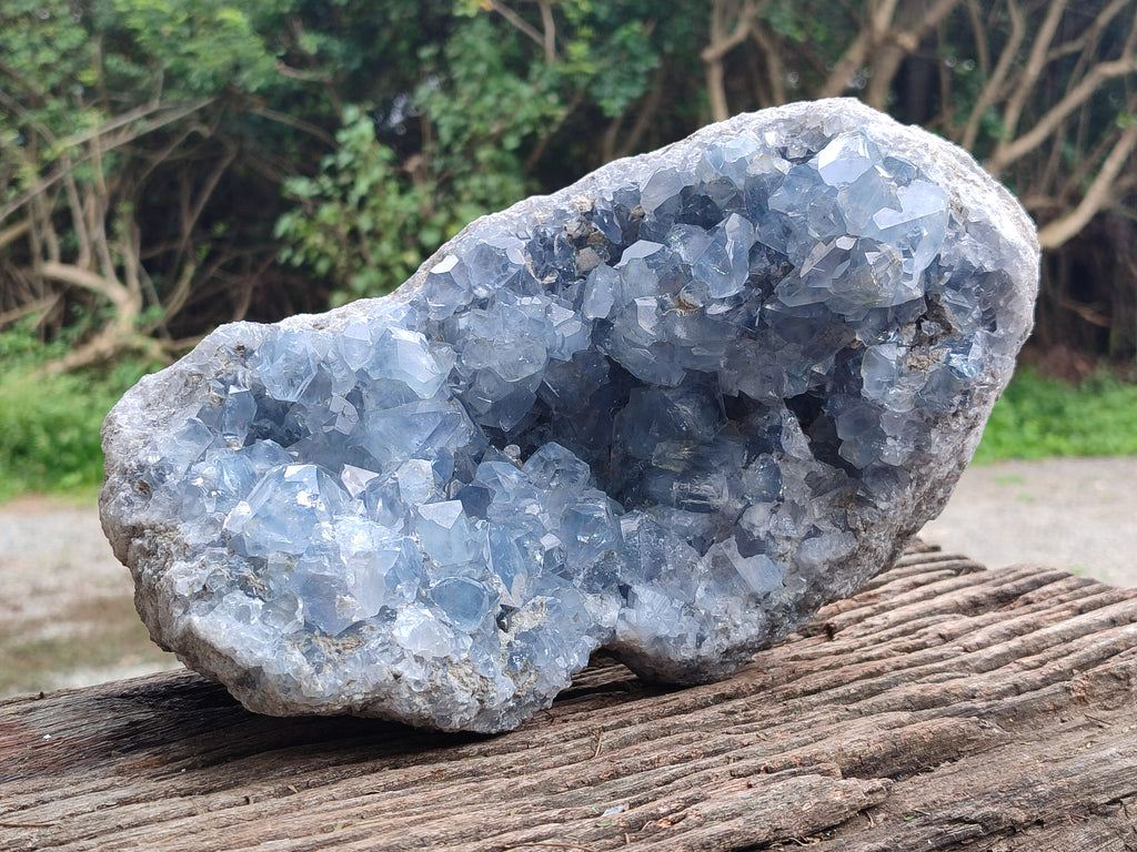 Natural Large Celestite Geode Specimen x 1 From Sakoany, Madagascar - Toprock Gemstones and Minerals 