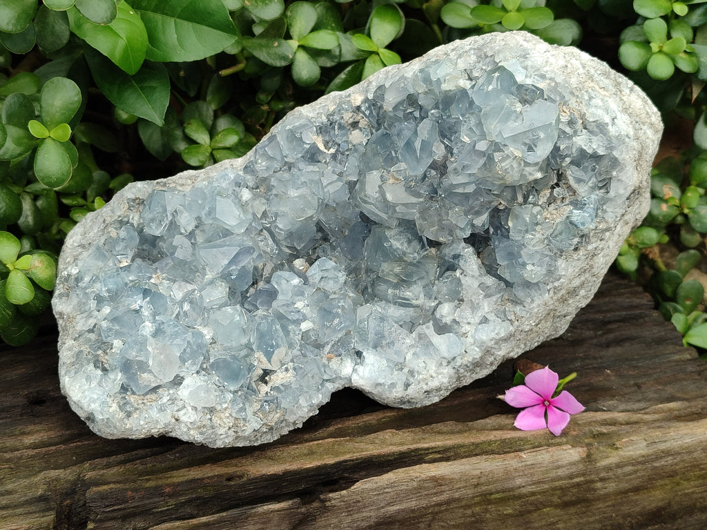 Natural Large Celestite Geode Specimen x 1 From Sakoany, Madagascar - Toprock Gemstones and Minerals 