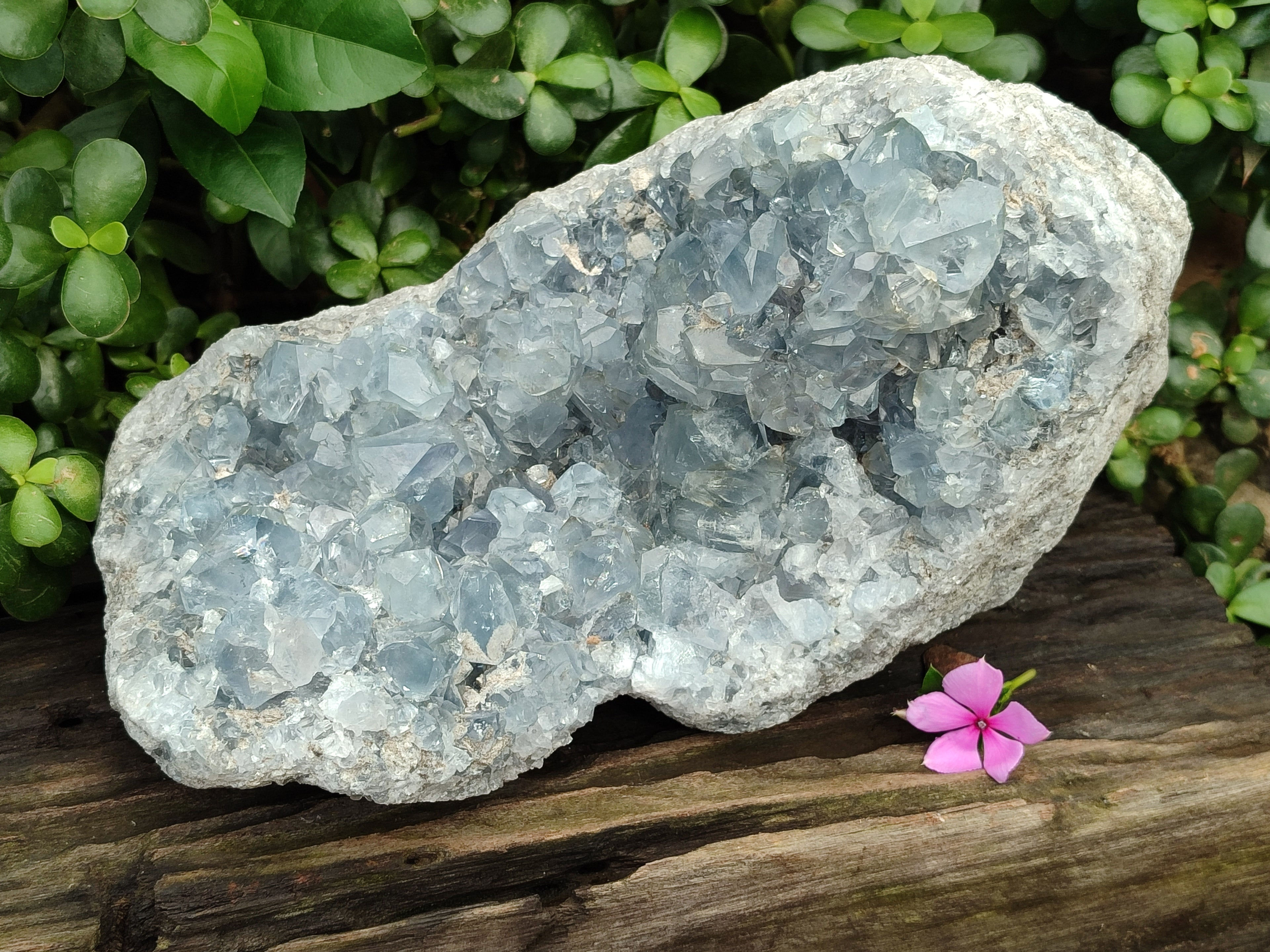 Natural Large Celestite Geode Specimen x 1 From Sakoany, Madagascar - Toprock Gemstones and Minerals 