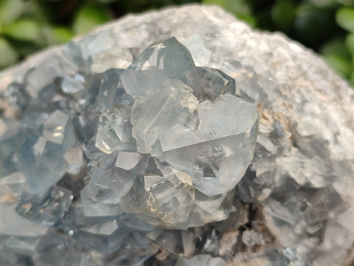 Natural Large Celestite Geode Specimen x 1 From Sakoany, Madagascar - Toprock Gemstones and Minerals 