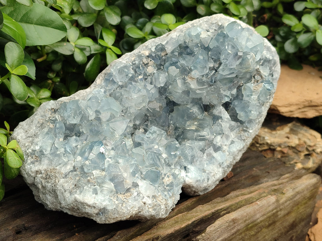 Natural Large Celestite Geode Specimen x 1 From Sakoany, Madagascar - Toprock Gemstones and Minerals 