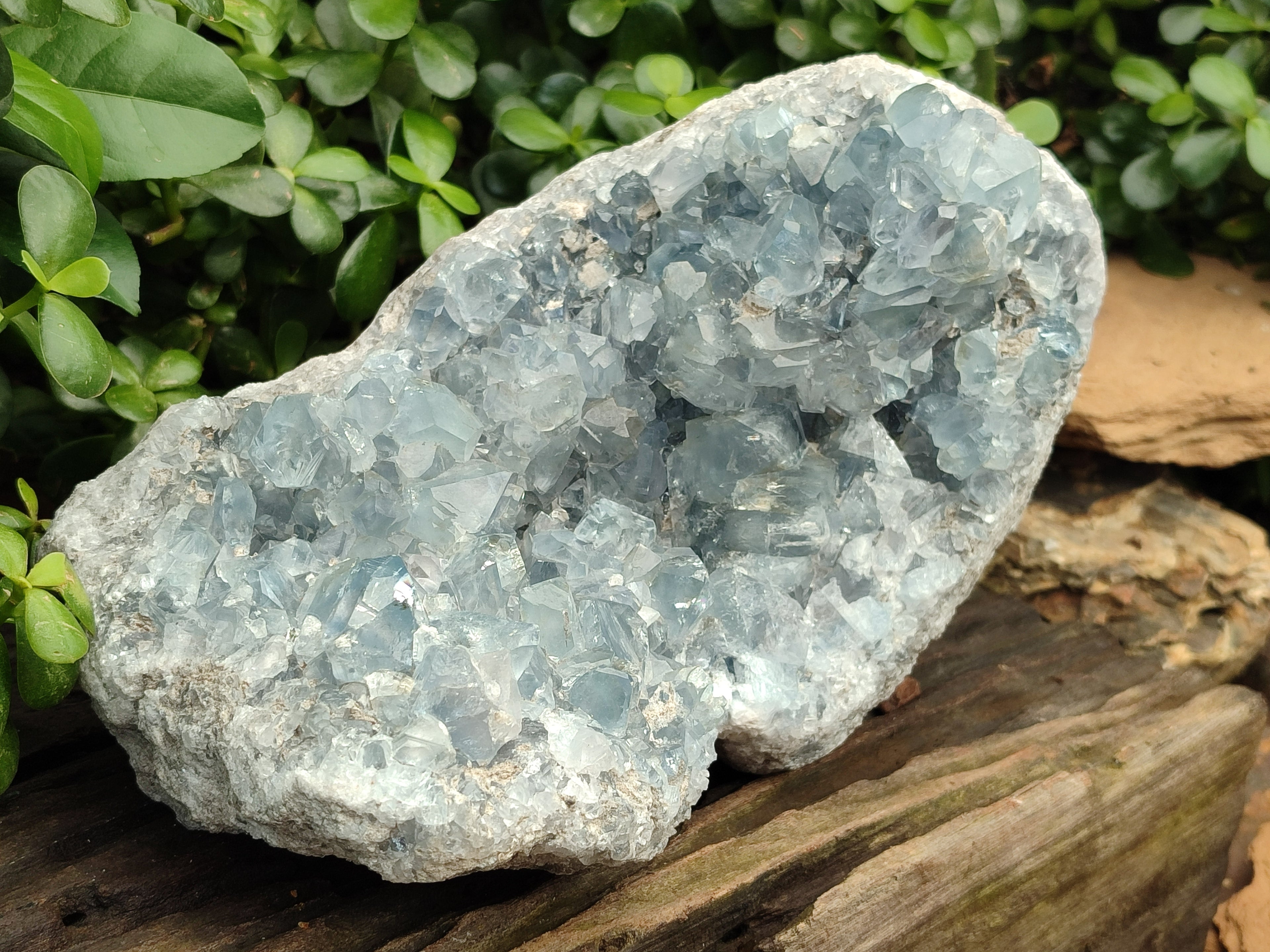Natural Large Celestite Geode Specimen x 1 From Sakoany, Madagascar - Toprock Gemstones and Minerals 