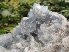 Natural Large Celestite Geode Specimen x 1 From Sakoany, Madagascar - Toprock Gemstones and Minerals 