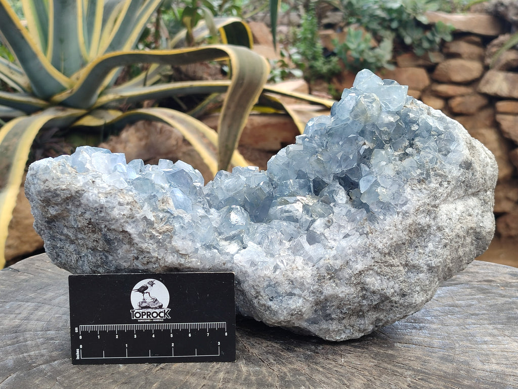 Natural Large Celestite Geode Specimen x 1 From Sakoany, Madagascar - Toprock Gemstones and Minerals 