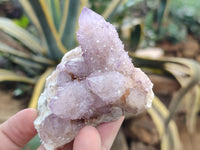 Natural Amethyst Spirit Quartz Clusters x 6 From Boekenhouthoek, South Africa
