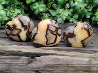 Polished Septerye Hearts x 6 From Mahajanga, Madagascar