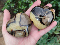 Polished Septerye Hearts x 6 From Mahajanga, Madagascar