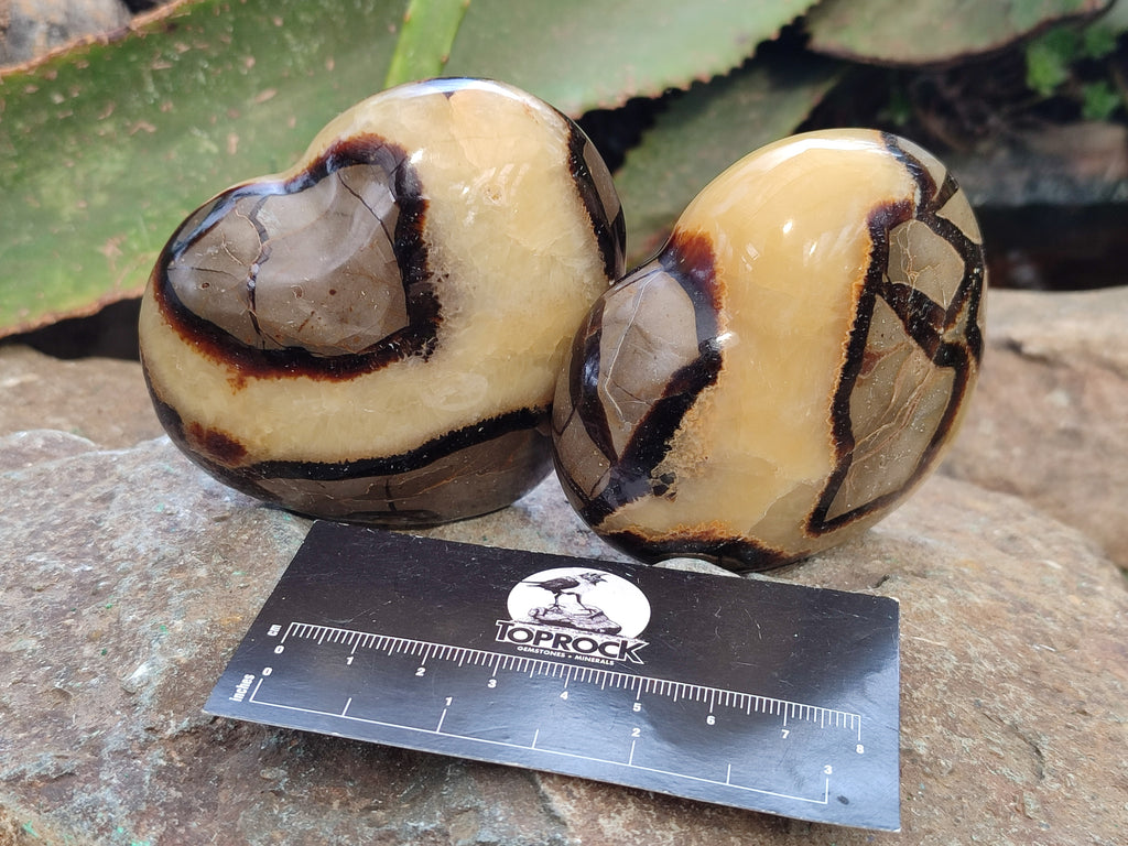 Polished Septerye Hearts x 6 From Mahajanga, Madagascar - Toprock Gemstones and Minerals 