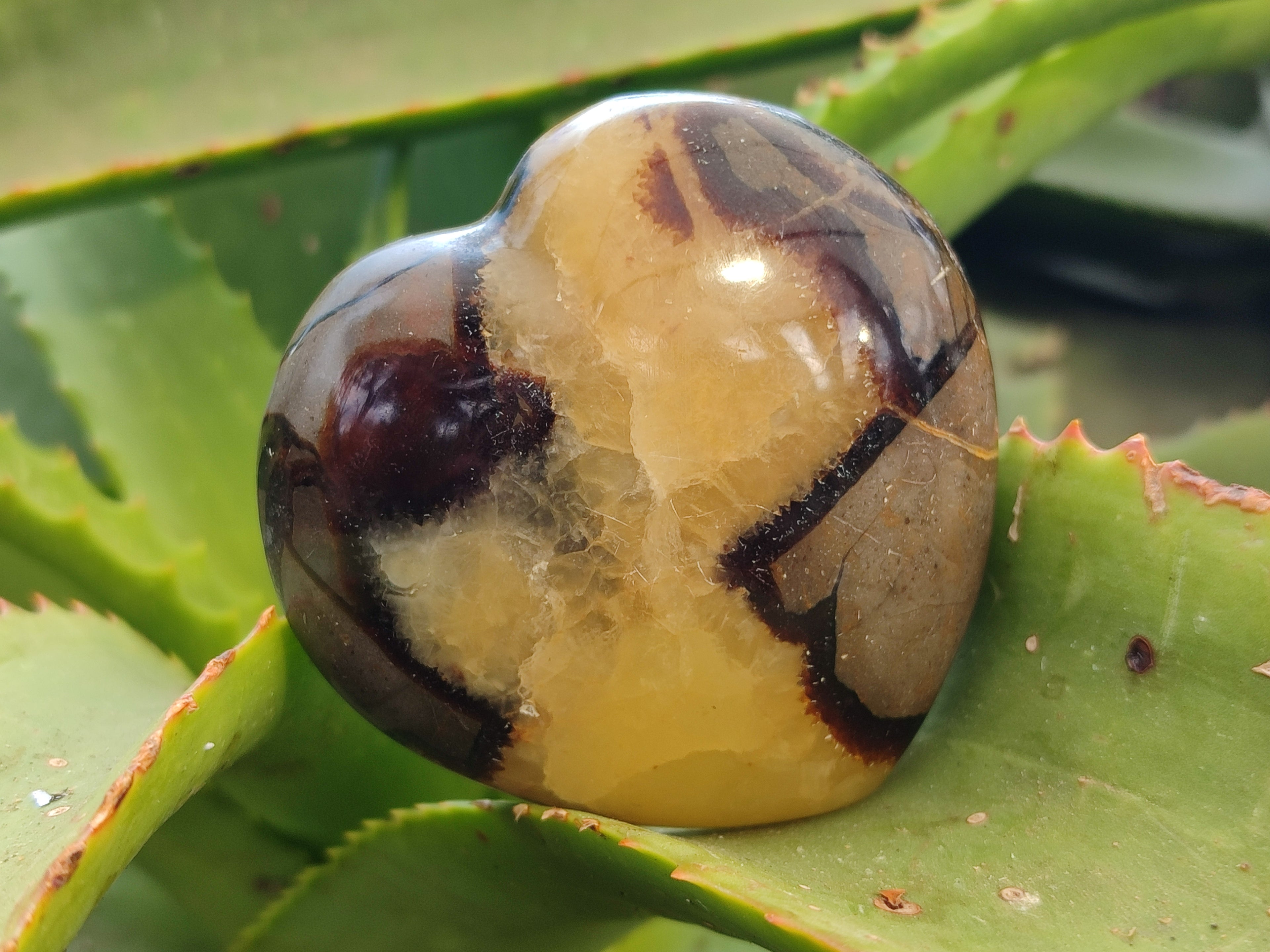 Polished Septerye Hearts x 6 From Mahajanga, Madagascar - Toprock Gemstones and Minerals 