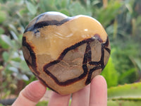 Polished Septerye Hearts x 6 From Mahajanga, Madagascar