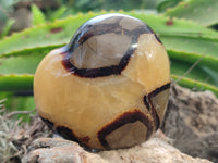 Polished Septerye Hearts x 6 From Mahajanga, Madagascar