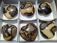 Polished Septerye Hearts x 6 From Mahajanga, Madagascar