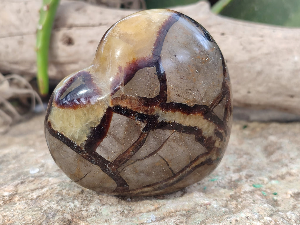 Polished Septerye Hearts x 6 From Mahajanga, Madagascar - Toprock Gemstones and Minerals 