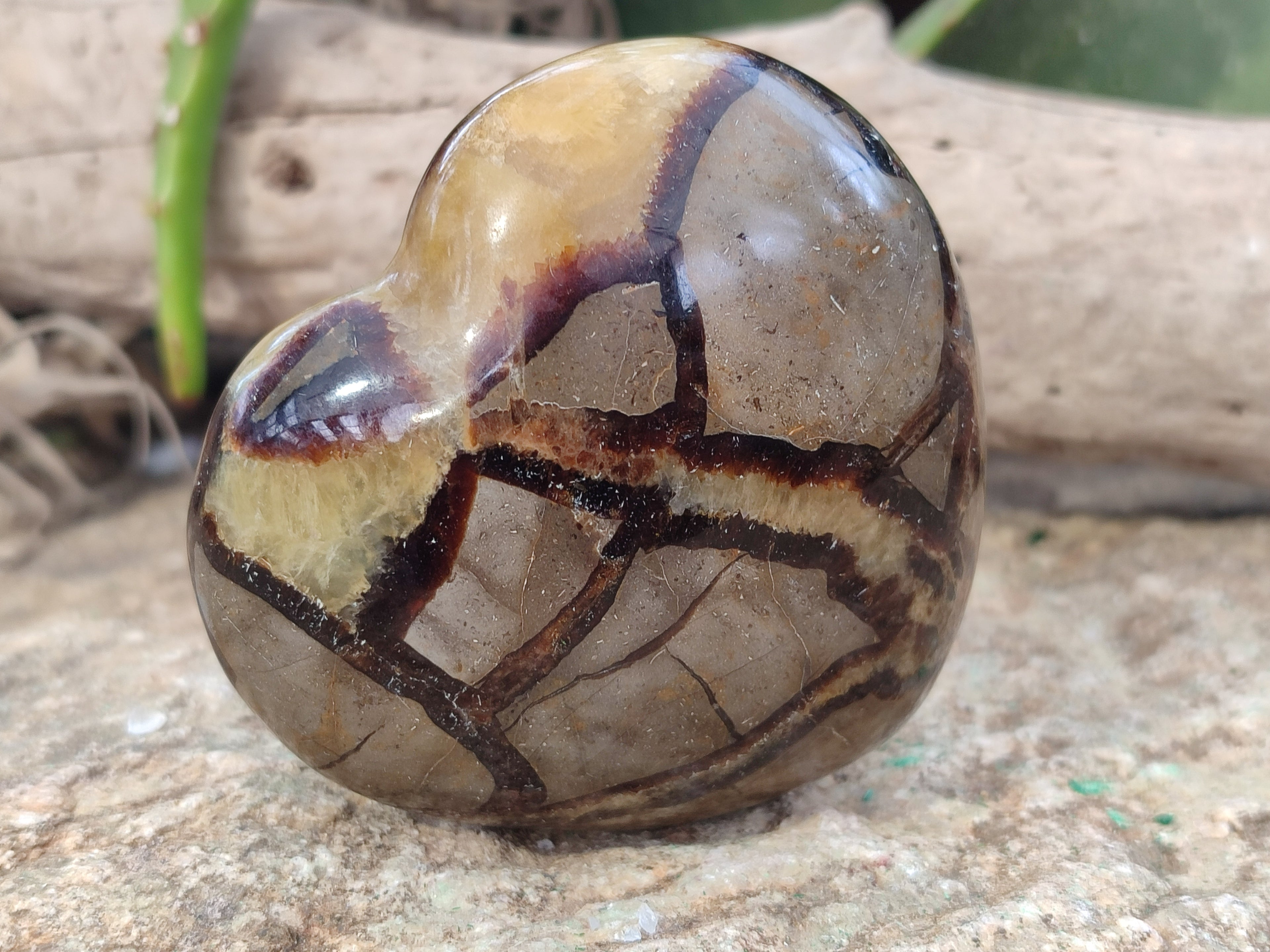 Polished Septerye Hearts x 6 From Mahajanga, Madagascar - Toprock Gemstones and Minerals 