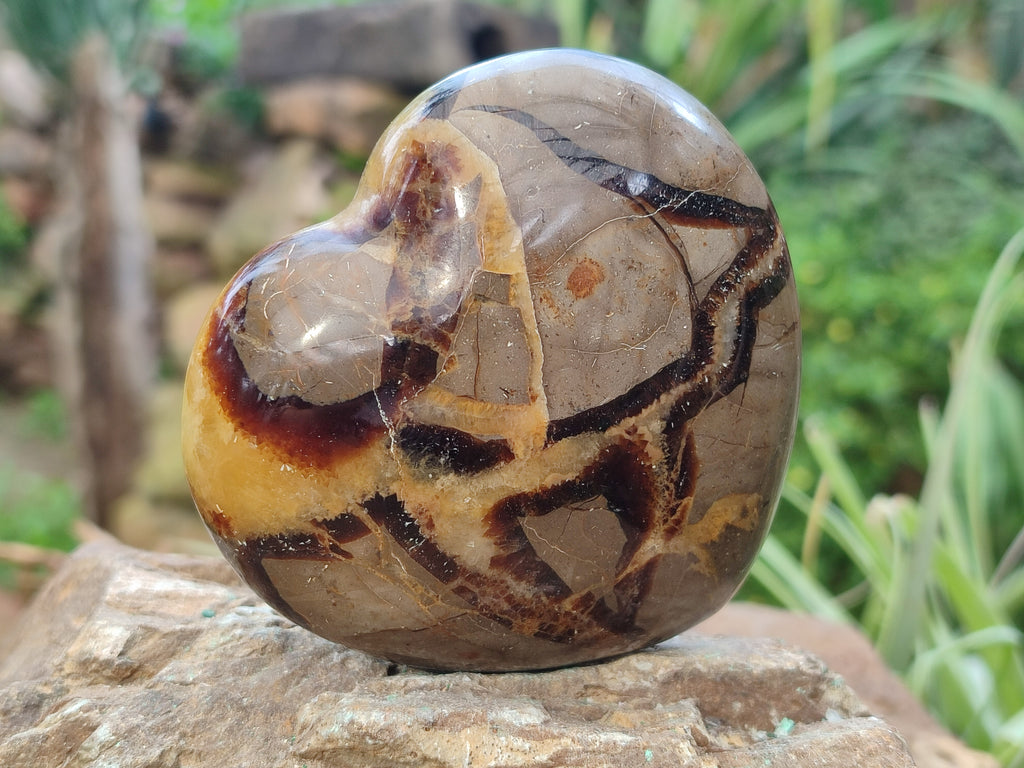 Polished Septerye Hearts x 6 From Mahajanga, Madagascar - Toprock Gemstones and Minerals 