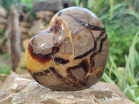 Polished Septerye Hearts x 6 From Mahajanga, Madagascar