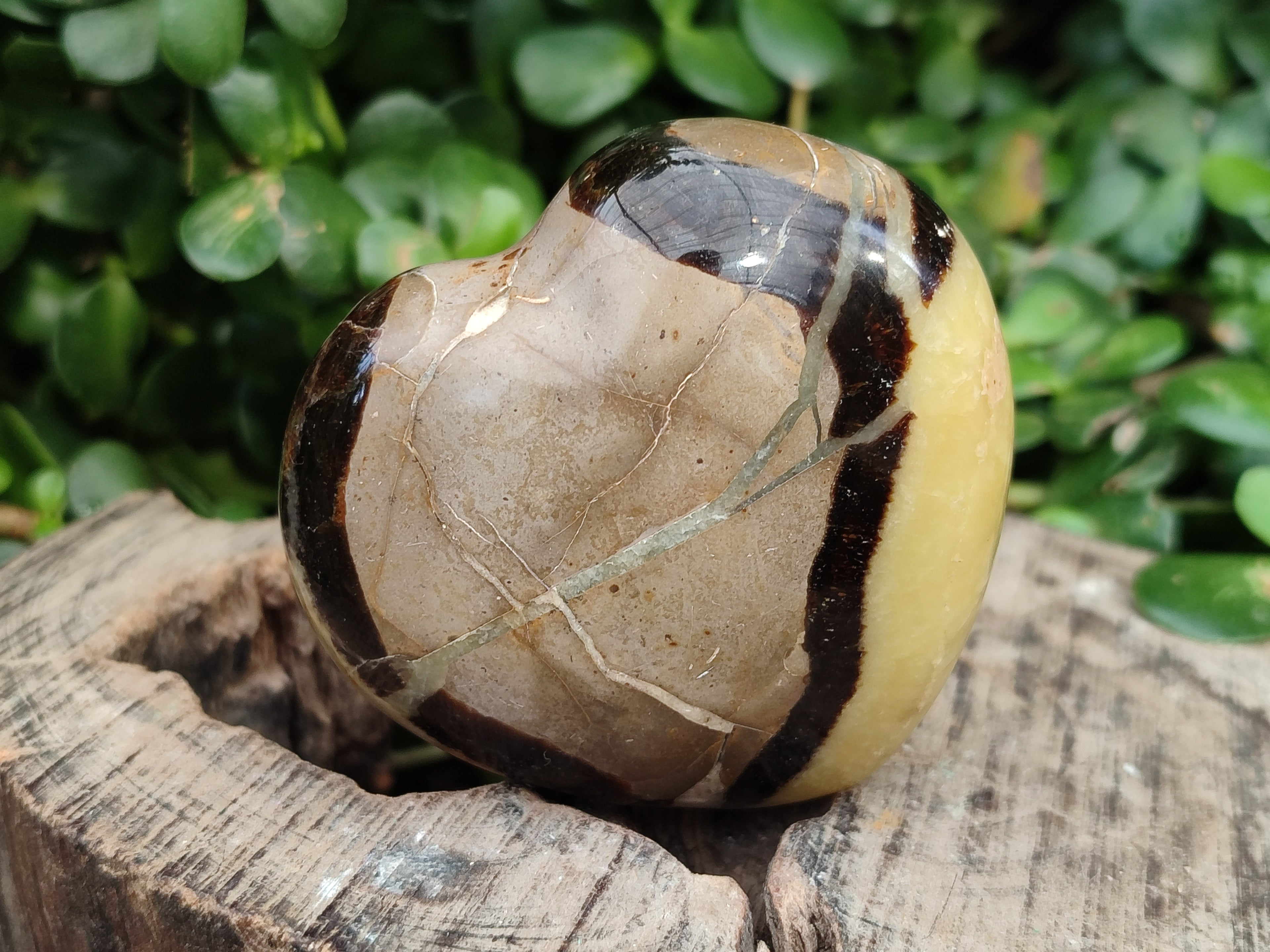 Polished Septerye Hearts x 6 From Mahajanga, Madagascar - Toprock Gemstones and Minerals 