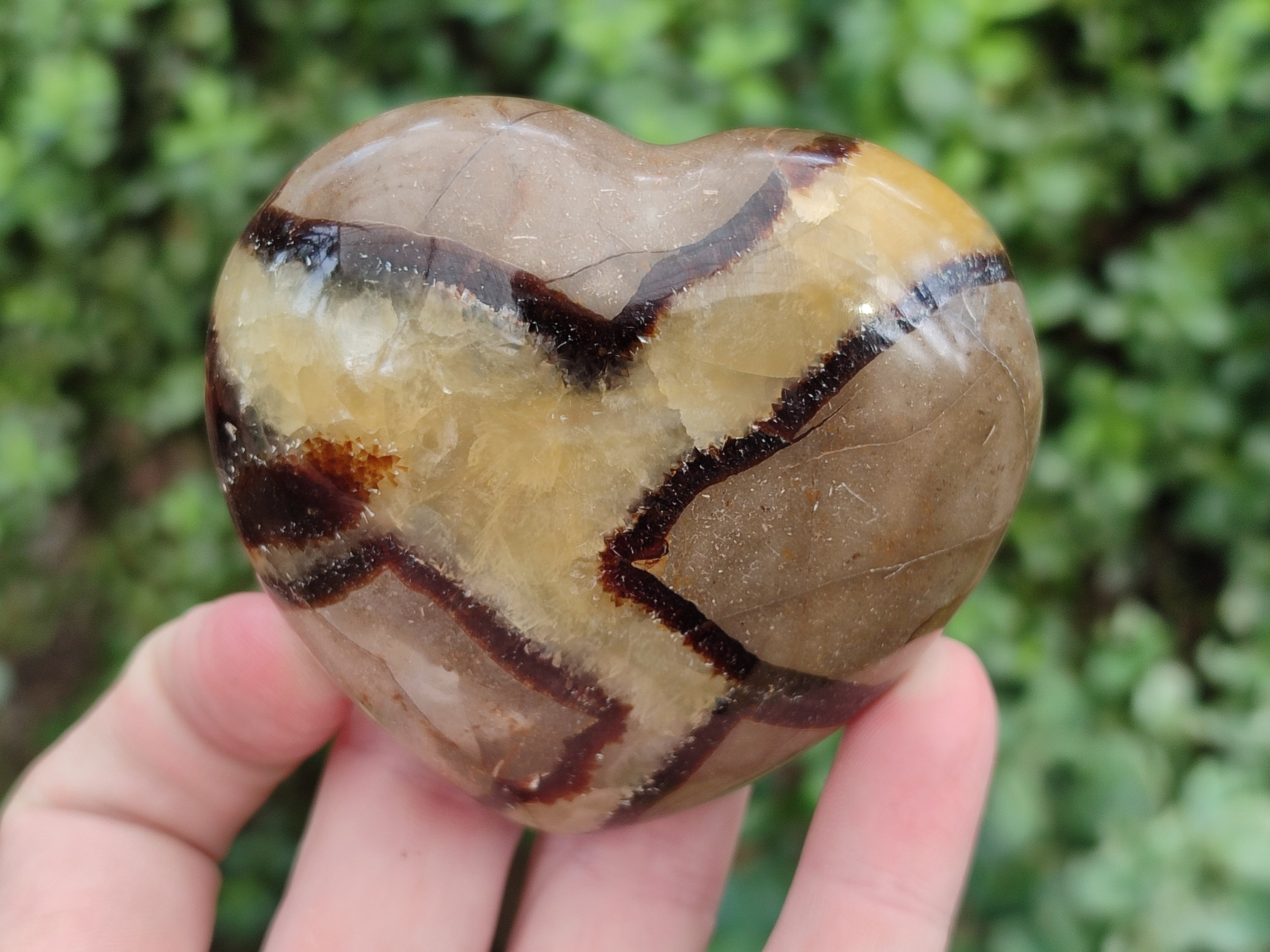 Polished Septerye Hearts x 6 From Mahajanga, Madagascar - Toprock Gemstones and Minerals 