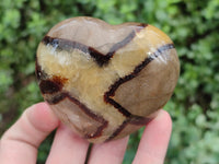 Polished Septerye Hearts x 6 From Mahajanga, Madagascar