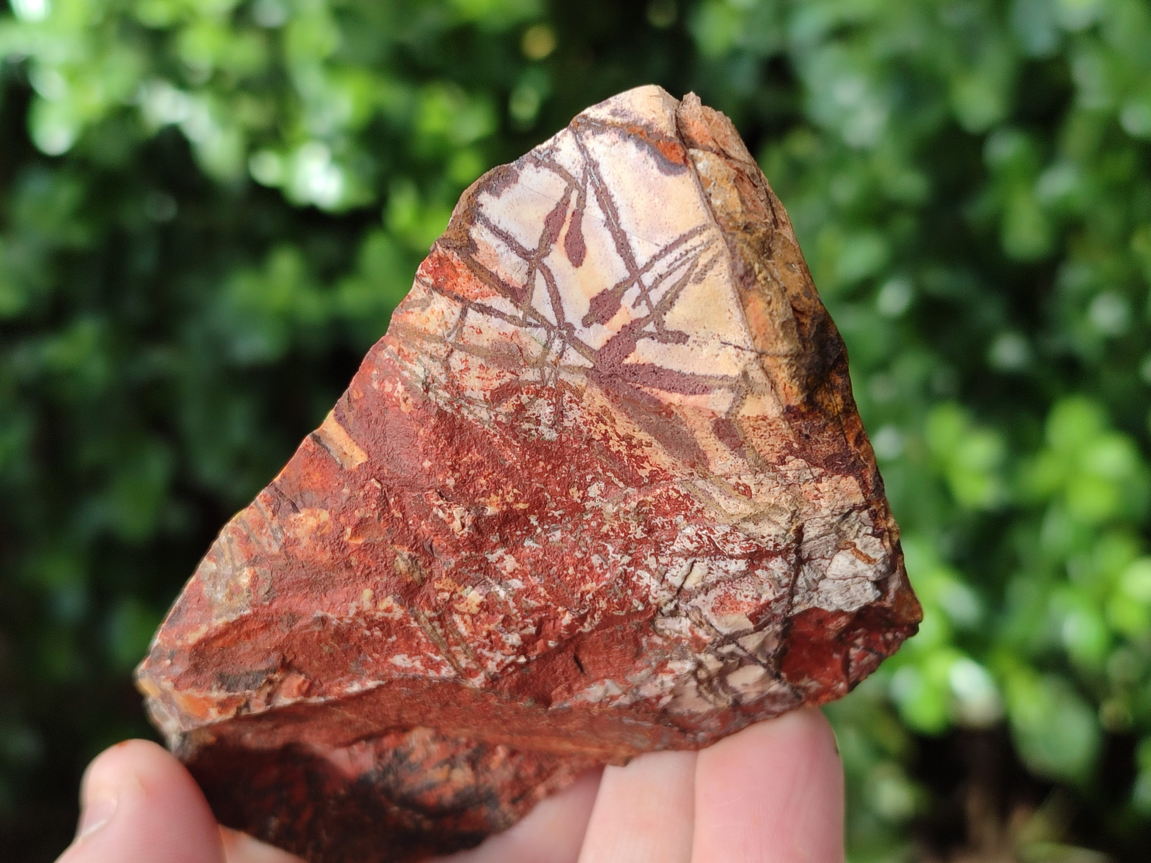 Natural Nguni Jasper Cobbed Specimens x 24 From Prieska, South Africa - Toprock Gemstones and Minerals 