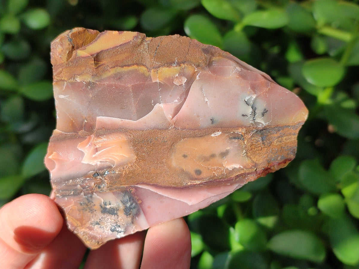 Natural Nguni Jasper Cobbed Specimens x 24 From Prieska, South Africa - Toprock Gemstones and Minerals 