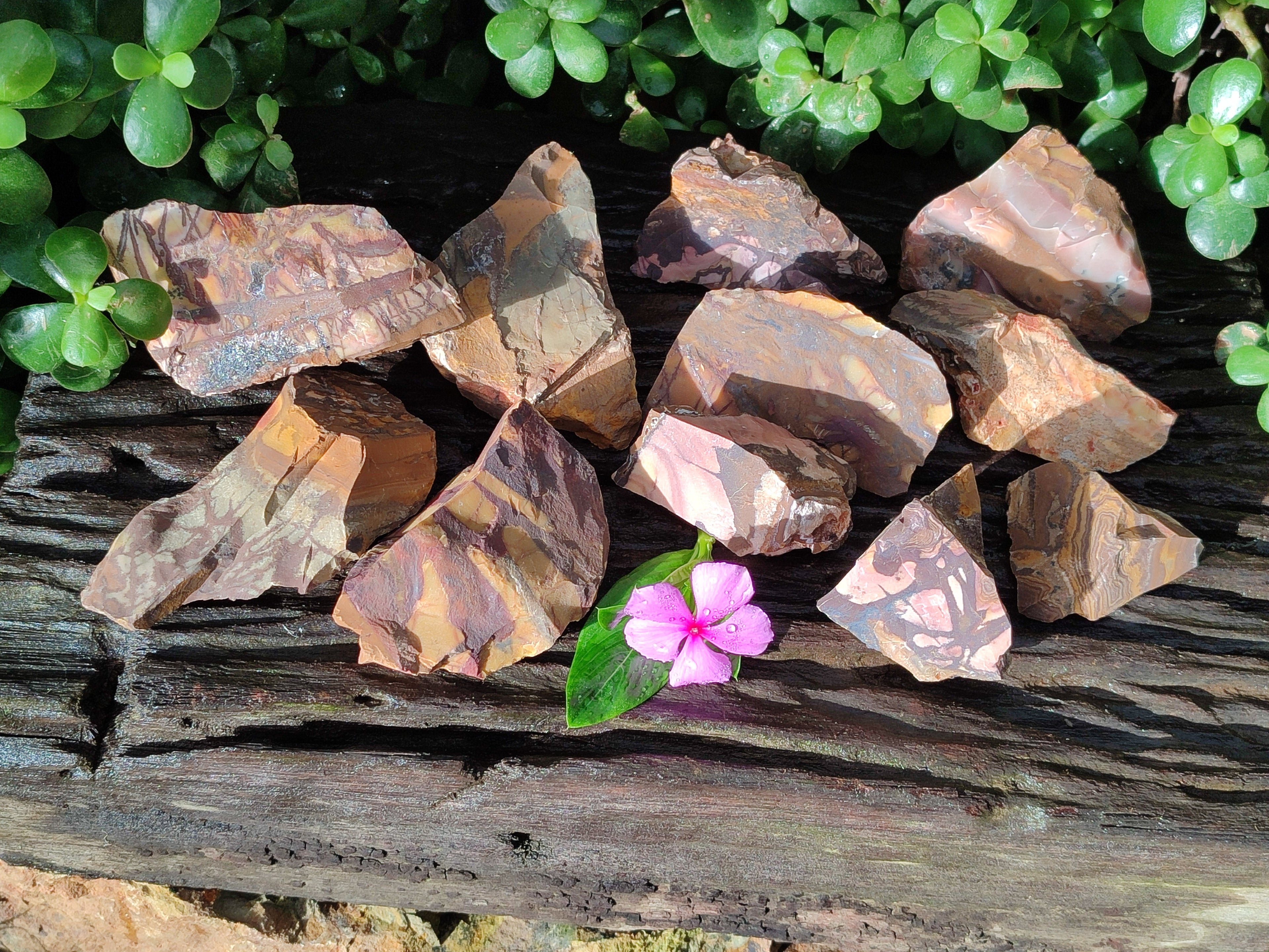 Natural Nguni Jasper Cobbed Specimens x 24 From Prieska, South Africa - Toprock Gemstones and Minerals 
