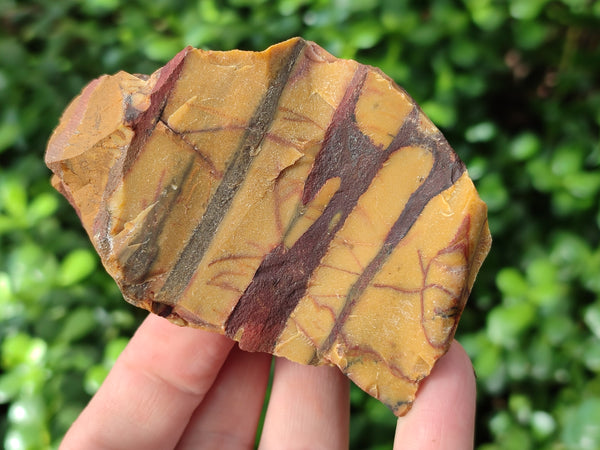 Natural Nguni Jasper Cobbed Specimens x 24 From Prieska, South Africa