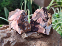 Natural Nguni Jasper Cobbed Specimens x 24 From Prieska, South Africa - Toprock Gemstones and Minerals 