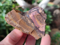 Natural Nguni Jasper Cobbed Specimens x 24 From Prieska, South Africa - Toprock Gemstones and Minerals 