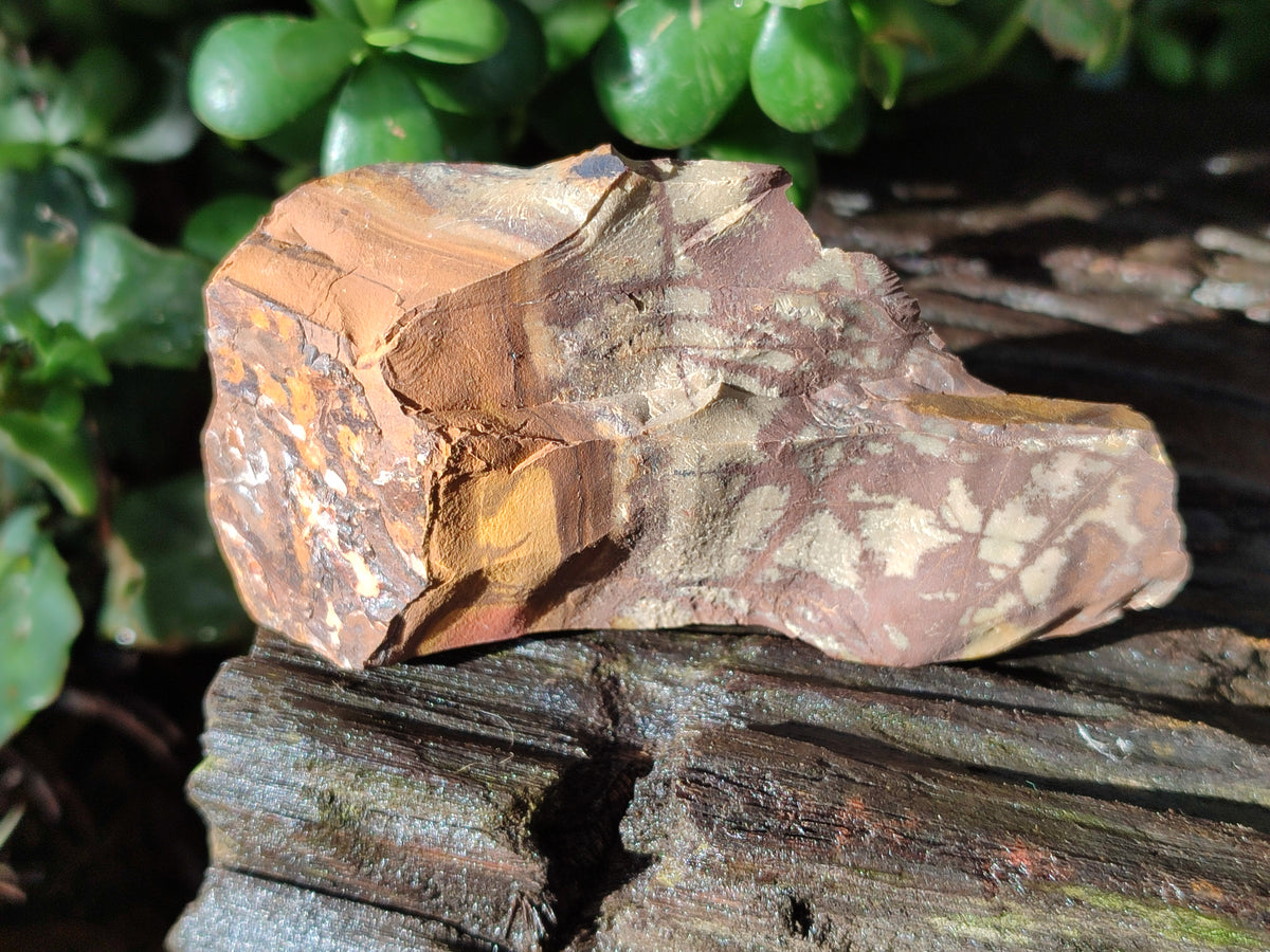 Natural Nguni Jasper Cobbed Specimens x 24 From Prieska, South Africa - Toprock Gemstones and Minerals 