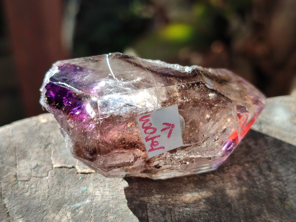 Natural Smokey Window Amethyst Crystals with Enhydro Bubbles x 20 From Chiredzi, Zimbabwe